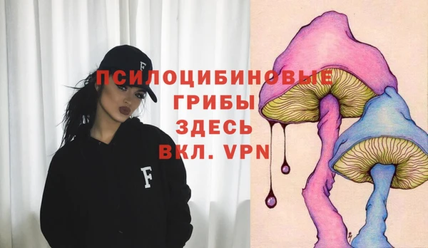 jwh Аркадак